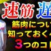 実用的な筋肉つけるなら速筋肉より遅筋肉鍛えた方が良さそう