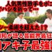 【最恐】和田アキ子、大阪最強と呼ばれた中学時代「子分は男ばかり700人」「風呂で子分の男に全身洗わせてた」