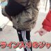 【悲報】ライン入りジャージ着てるやつ来いよｗｗｗｗｗｗｗ